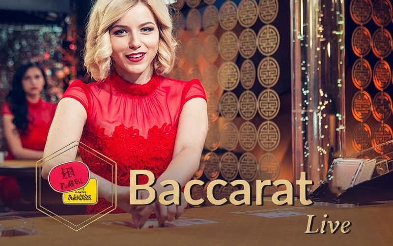 Enjoy elegant live baccarat sessions at DBbet and bet with confidence.