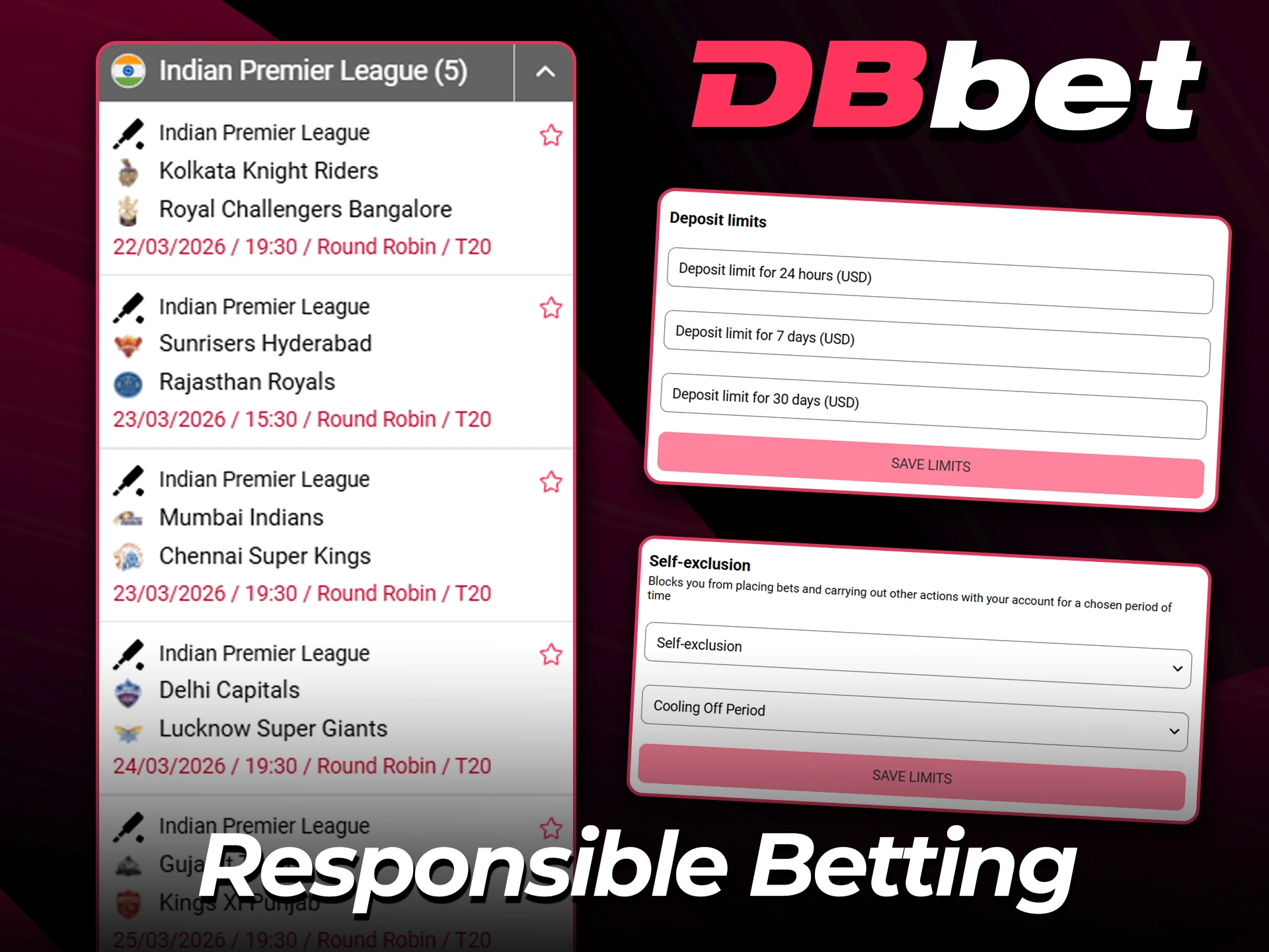 Practice safe IPL betting on the DBbet platform.