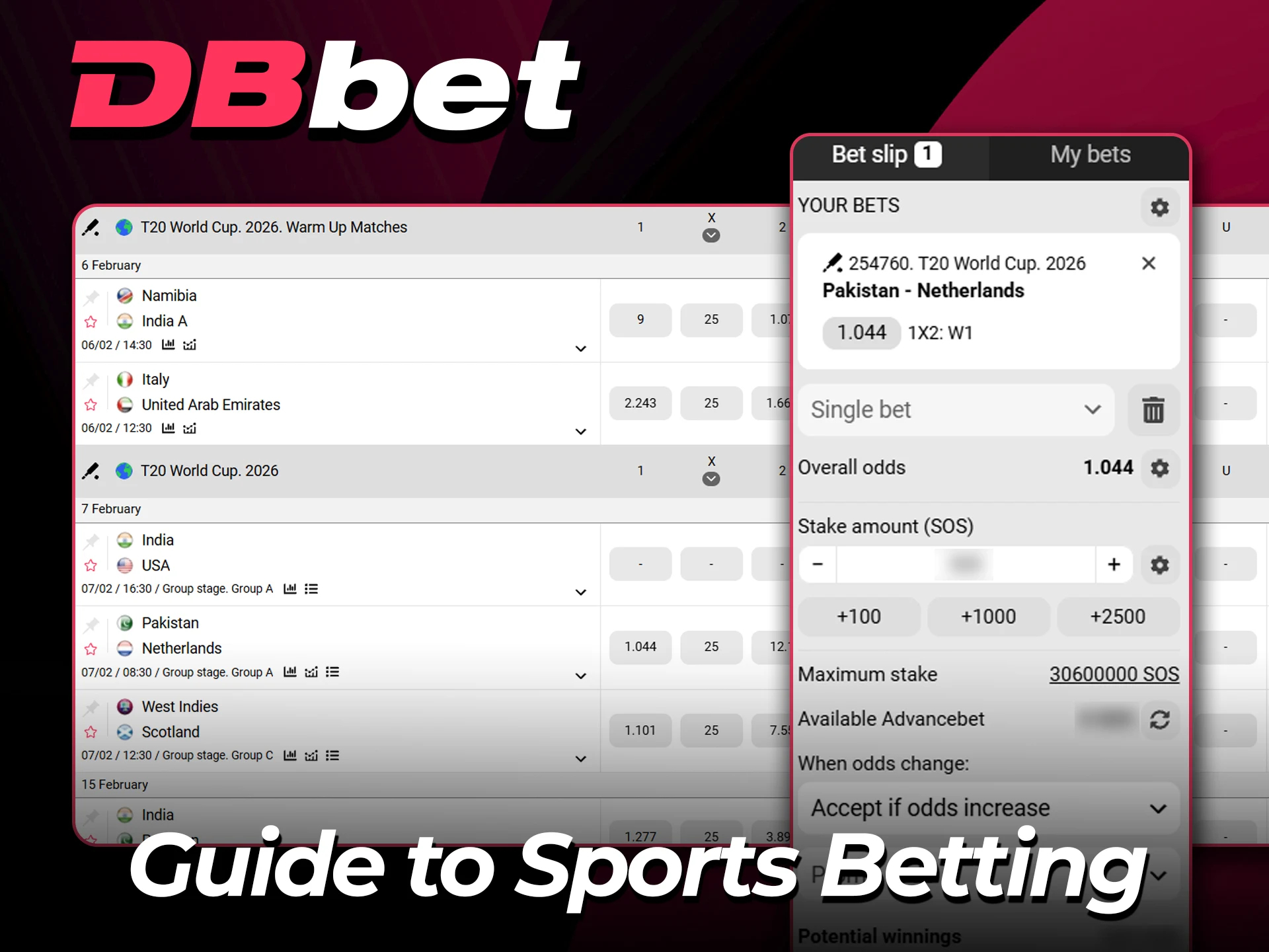 Learn sports betting basics on the official DBbet website.