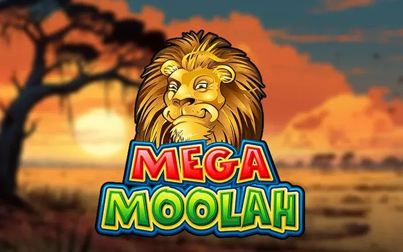 Chase the Mega Moolah jackpot on the DBBet.
