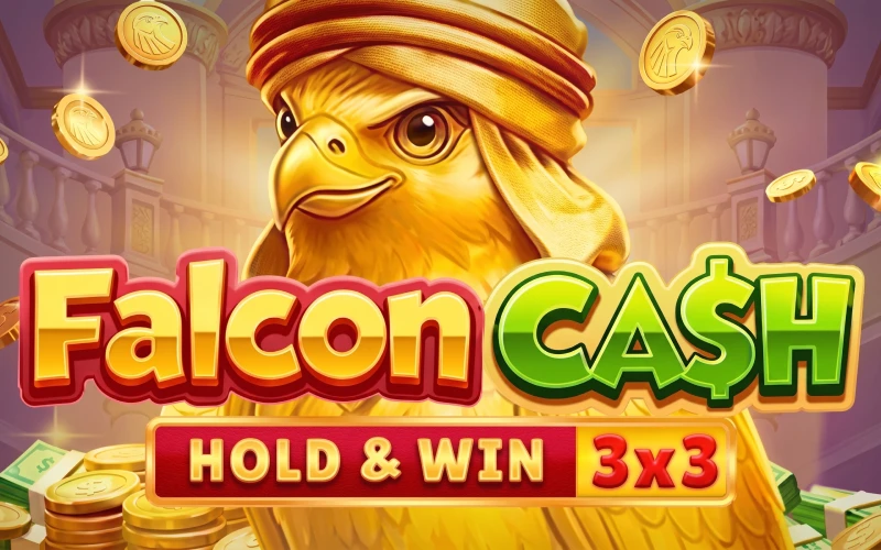 Increase your potential winnings in DBbet Falcon Cash game.
